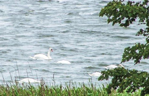 Beautiful Home In Osieki With Wifi - Foto 9