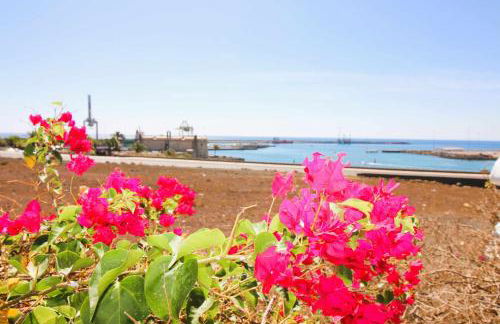 Casa Bahia de Naos con vistas al mar! - Foto 14