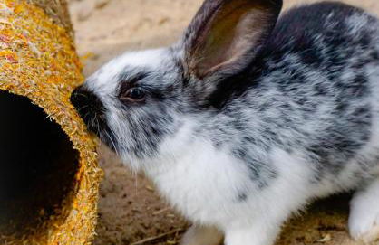 Loft am Diek - Foto 42