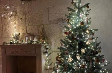 LA PETITE MAISON DE MAUSSANE *** - Foto 21