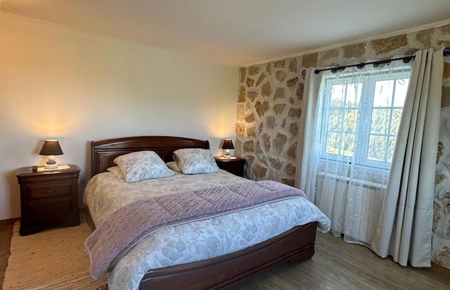 Terra Luso - Foto 19