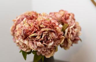 Newtonmill - Tranquillity in Rural Angus - Photo 19