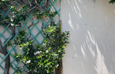 By the sea villa - Foto 10