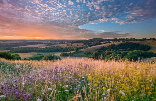 The Hive - Uk44558 - Foto 9