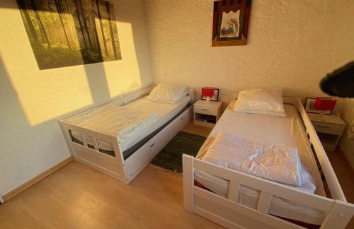 LE PETIT RENARD - Photo 21