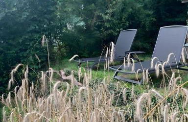 Ferienwohnung Auszeit - Photo 13