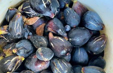 Casa Omaira y Nacho - Foto 34