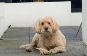 Captains Cabin - Foto 11