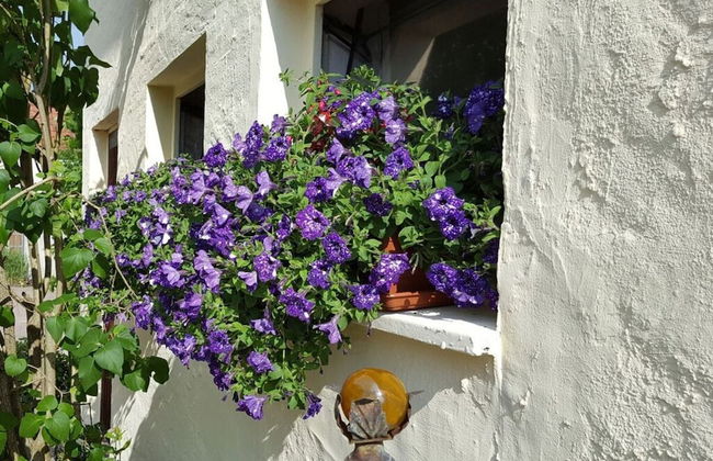 Amazing Apartment in Gossweinstein - Foto 11