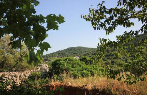 Apartments with parking space Zaglav, Dugi otok - 878 - Foto 21