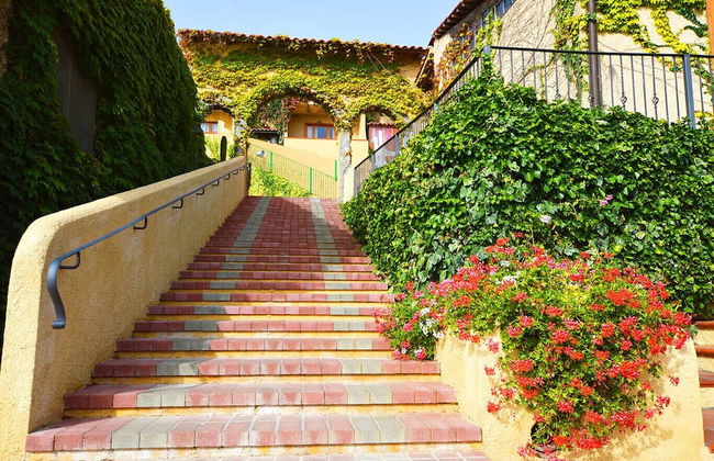 Villaggio l' Olivara - Foto 48