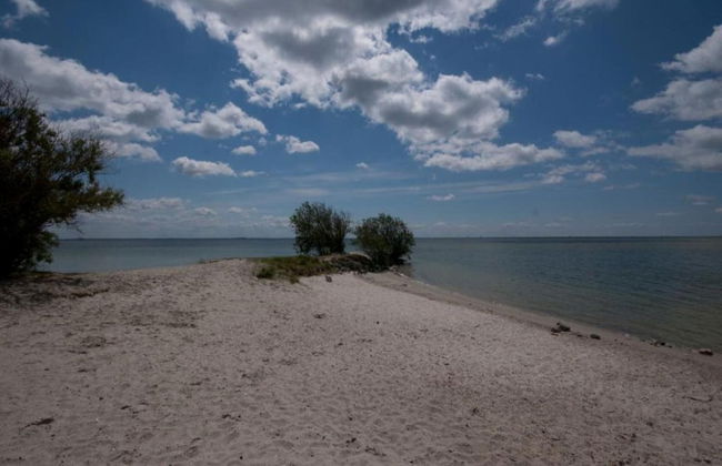 Superb Villa in the Woods of Gaasterland With Wifi and Fireplace - Foto 37