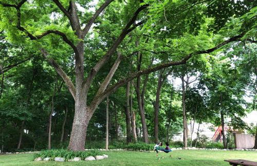 Large, Comfortable & Conveniently located Home - Foto 1