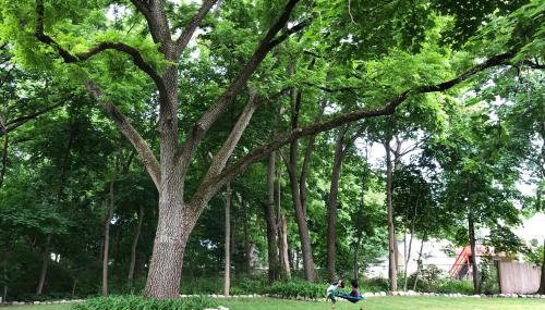 Large, Comfortable & Conveniently located Home - Foto 1