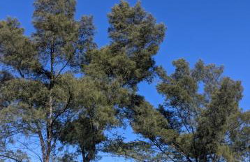 Excelente casa de 4 quartos em Saquarema - Foto 34