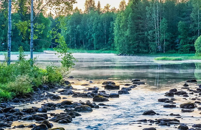 Niemenkärki, vaikon loma 8 - Foto 5