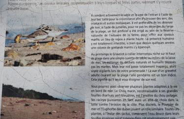 LA GRIOTTE 3 LOFT & Spa - Photo 17