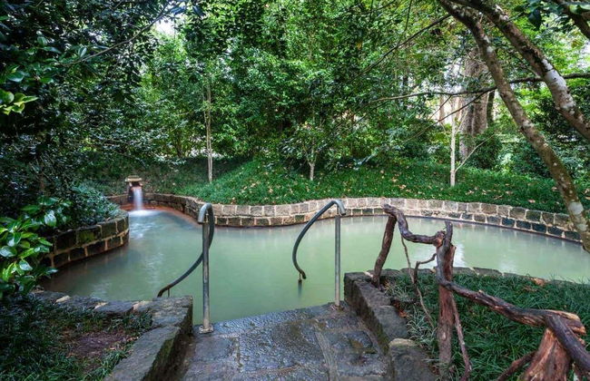 Valle de Furnas, jardín botánico y aguas termales - Foto 3