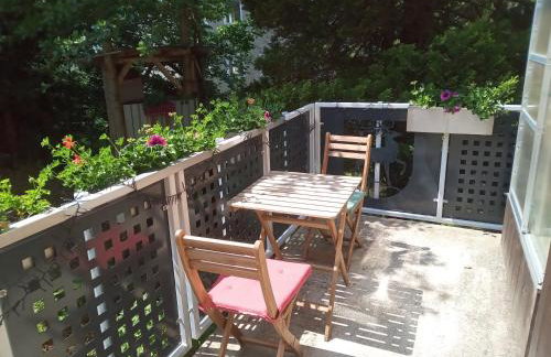 Ferienwohnung zum Sebnitzer Hirsch - Photo 33