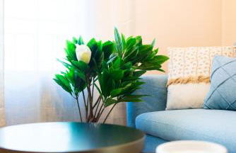 Ferrari Suites - Foto 26