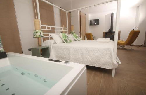 APARTAMENTOS GORI SUITES HIDROMASAJE accesibles minusválidos - Foto 44