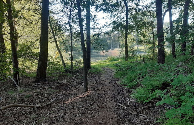 Kempen Comfort With Sauna & Tub - Foto 45