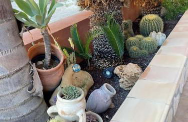 Home la Chiaretta - Foto 12