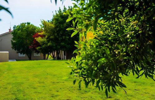 Afife Sea and Mountain Retreat - Foto 21