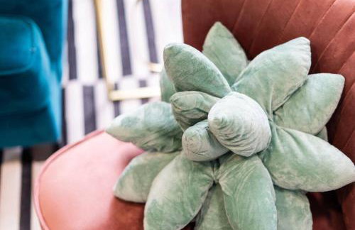 Cacti - Cactyou - Cactus - Foto 33