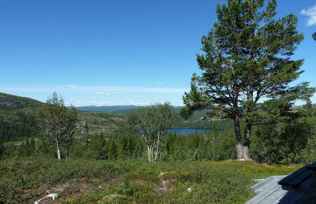 Furulie Cabin - Flå - Foto 16