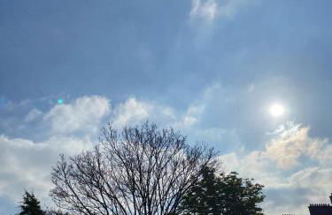 Douce Escale en Plein Centre - Avec Parking privé - Foto 13