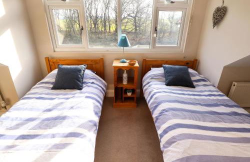 Natterjacks - Foto 34