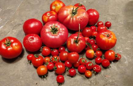 Le domaine du Moulin de Cors - Foto 24