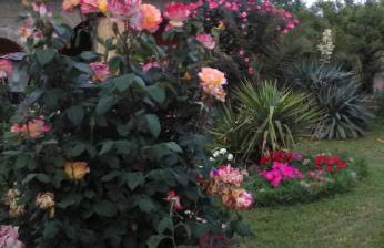 La casetta di samba - Foto 13