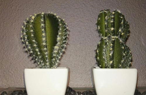 DOMUS SALAMANCA. MELCHOR CANO. Centro. 4 dormitorios - Photo 29