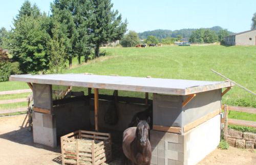Ferienwohnung Feldblick - Foto 47