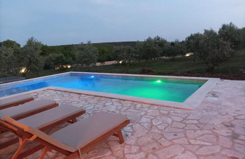 NEW 2023 Villa Tree of Life - Photo 39