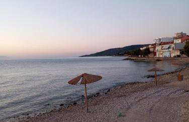 Dora's House - Photo 40