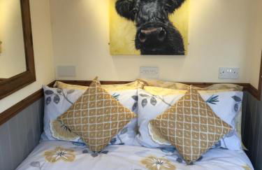 Waterloo Farm Shepherds Hut Glamping with Sun Lounge - Foto 7