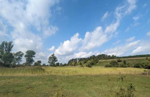 Ferienhof Neuendorfkrug, Lutow - Foto 69