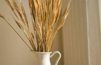 Sea, Surf and Sun - Foto 22