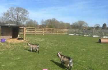 Dwell on the Moor - Foto 6