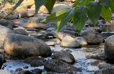 River Retreat near Sequoia National Park - Foto 39