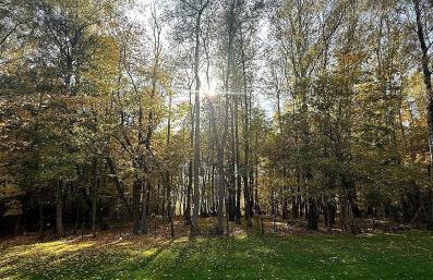 Chill ChaTka Osowiec Las&SPA pod Warszawą - Foto 39