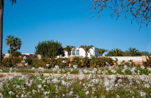 Agroturismo Safragell Ibiza Suites & Spa - Foto 40