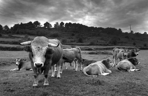 Belenos Alojamientos Turísticos - Foto 69