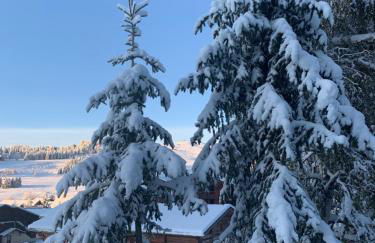 APPARTEMENT PLEIN SUD AUX SAISIES N°6 - Foto 30