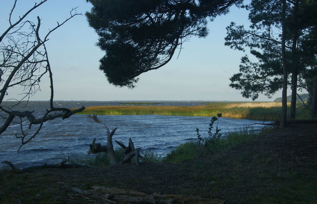 Holiday Home in Karnocicie by Szczecin Lagoon - Foto 15