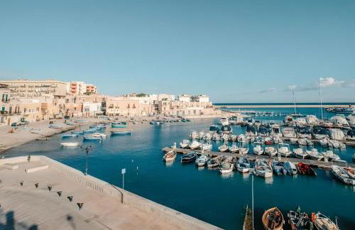 Quo Vadis Yacht in Bisceglie Harbor - Foto 27