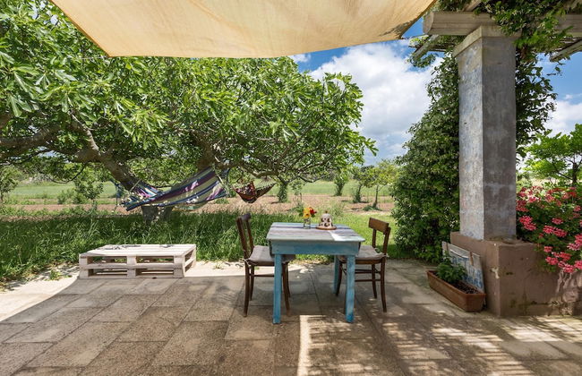 Le Cernicole - Foto 16